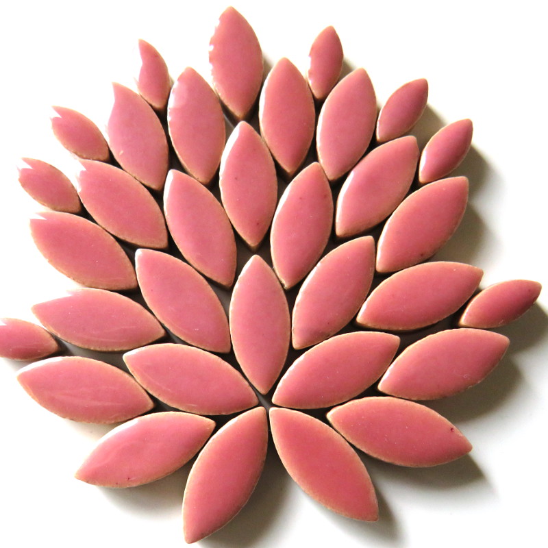 Petals & Leaves Petals & Leaves